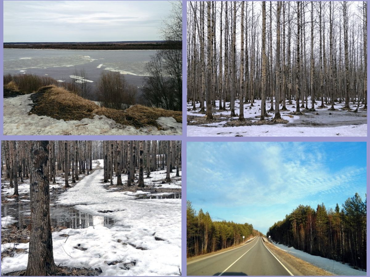 Иллюстрация к публикации