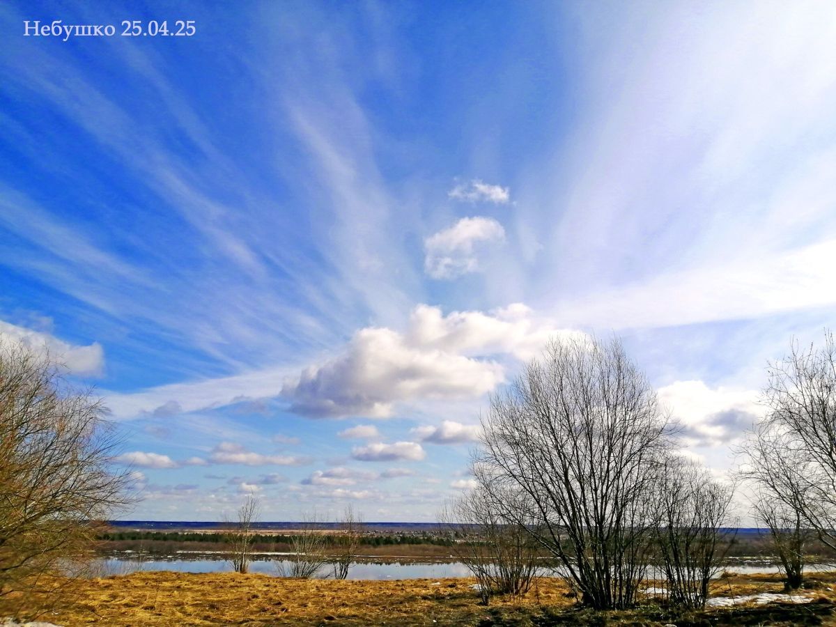 Иллюстрация к публикации