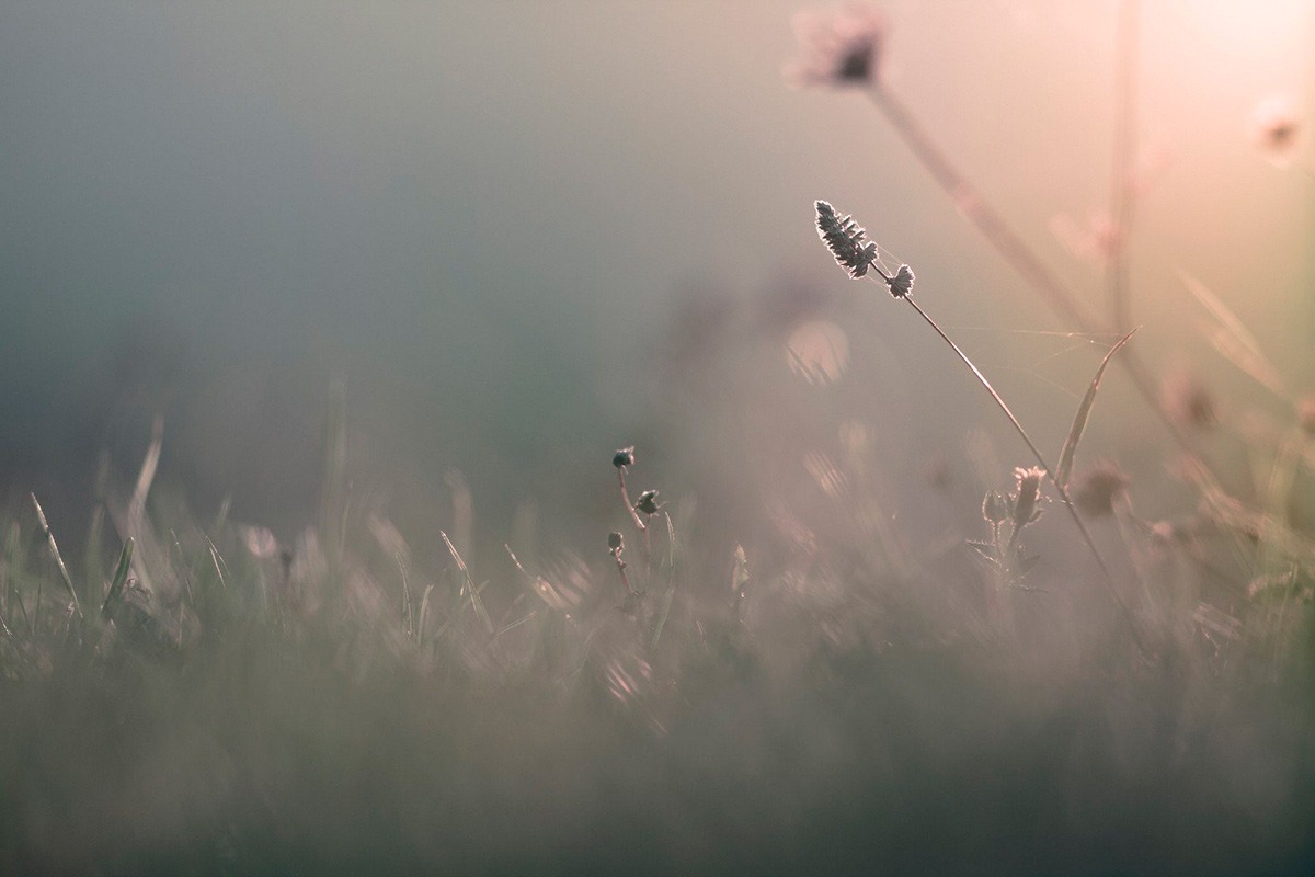 Иллюстрация к публикации