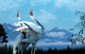 2115352-9765