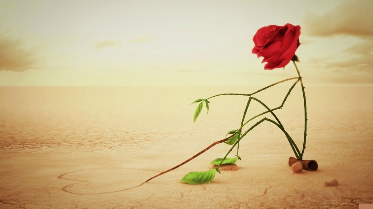 Иллюстрация к публикации