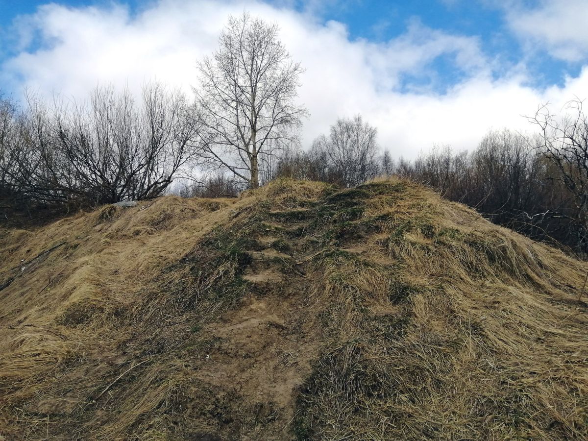 Иллюстрация к публикации