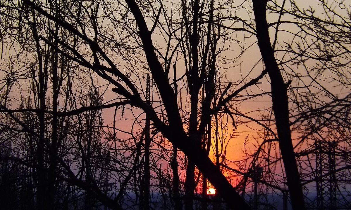 Иллюстрация к публикации