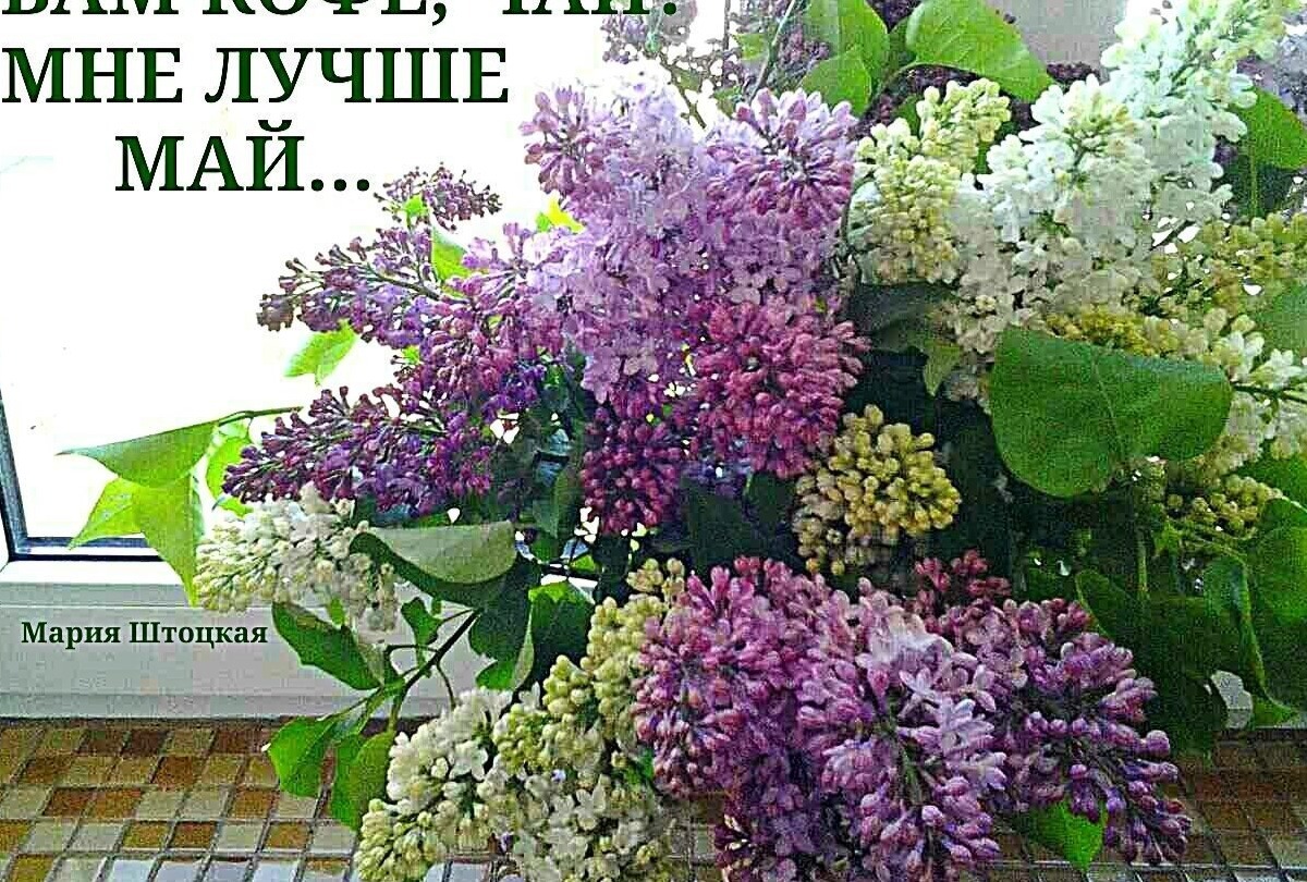 Иллюстрация к публикации