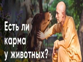 2118523-8804