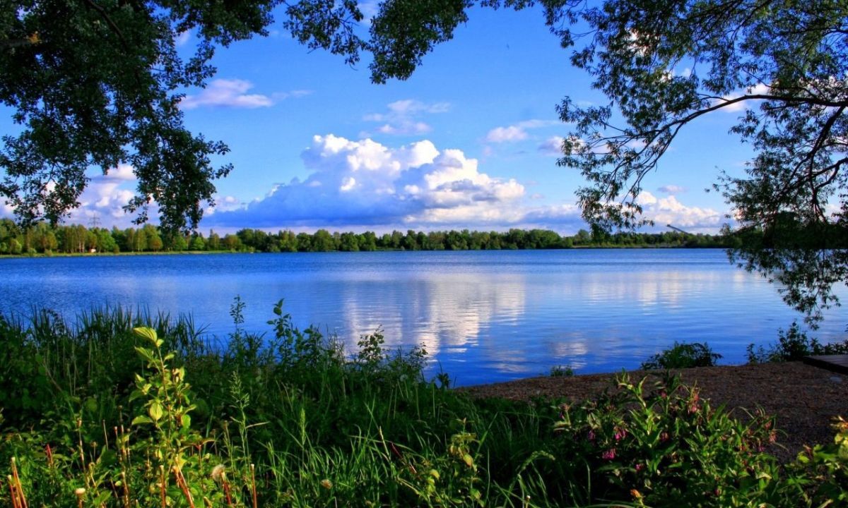 Иллюстрация к публикации