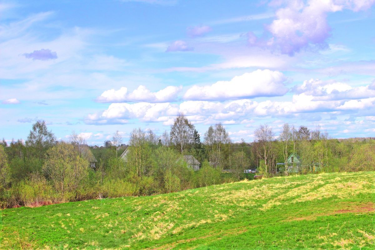 Иллюстрация к публикации