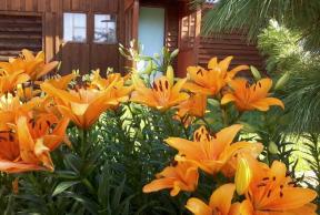 2124725-5734