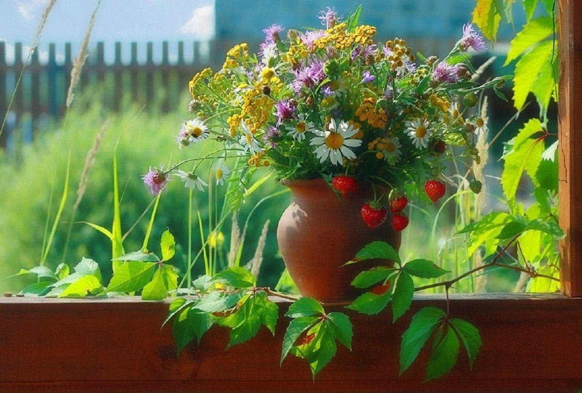 Иллюстрация к публикации