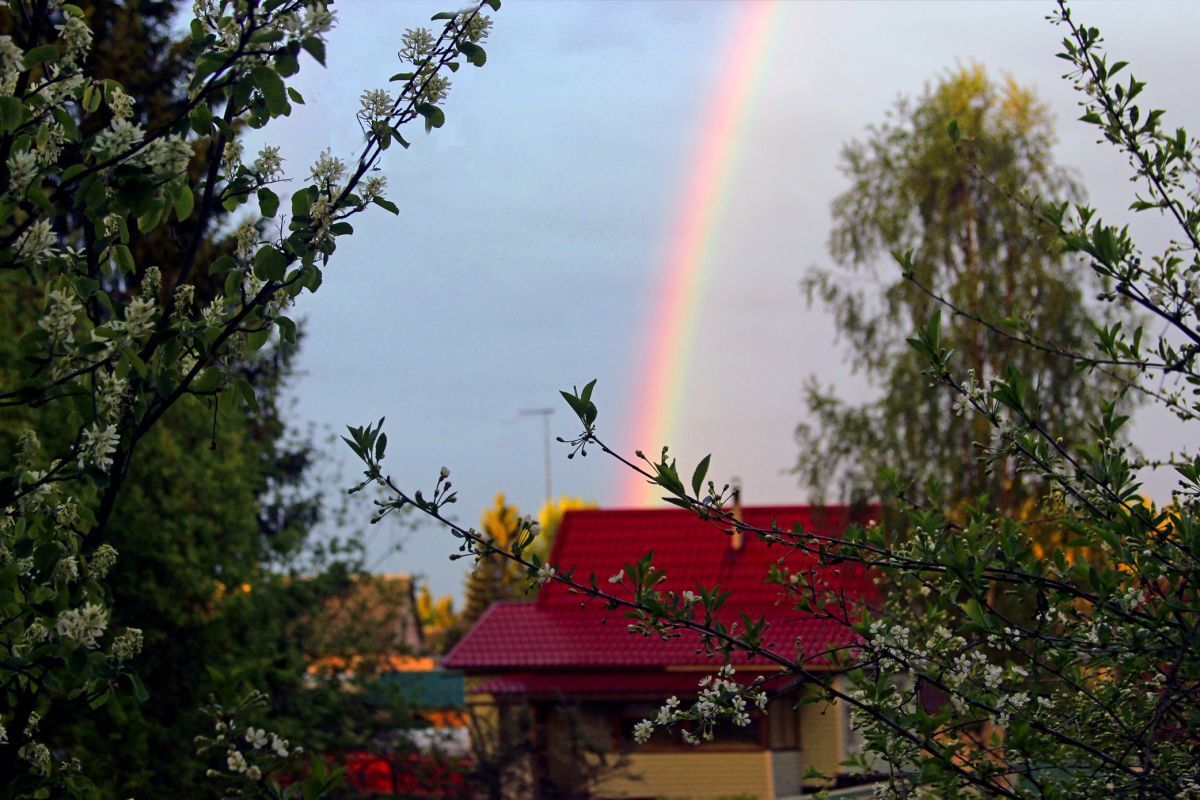 Иллюстрация к публикации