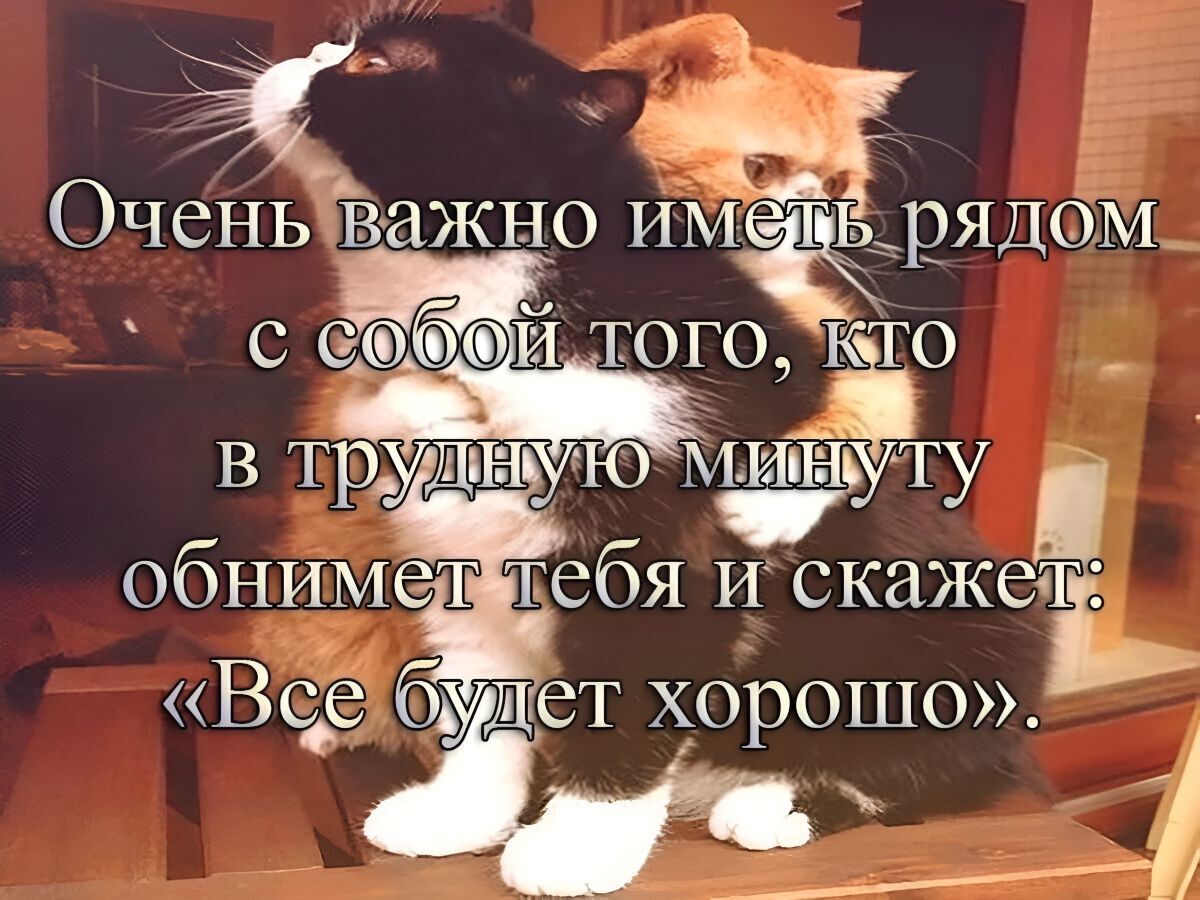 Иллюстрация к публикации