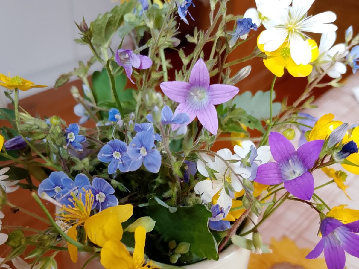 Иллюстрация к публикации