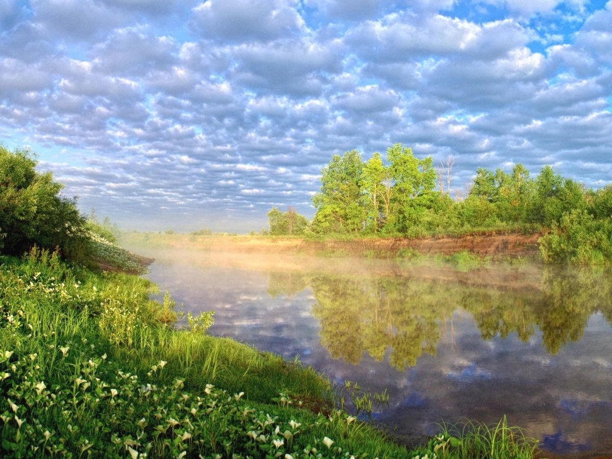 Иллюстрация к публикации