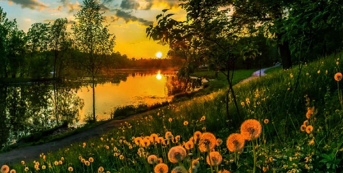 Иллюстрация к публикации