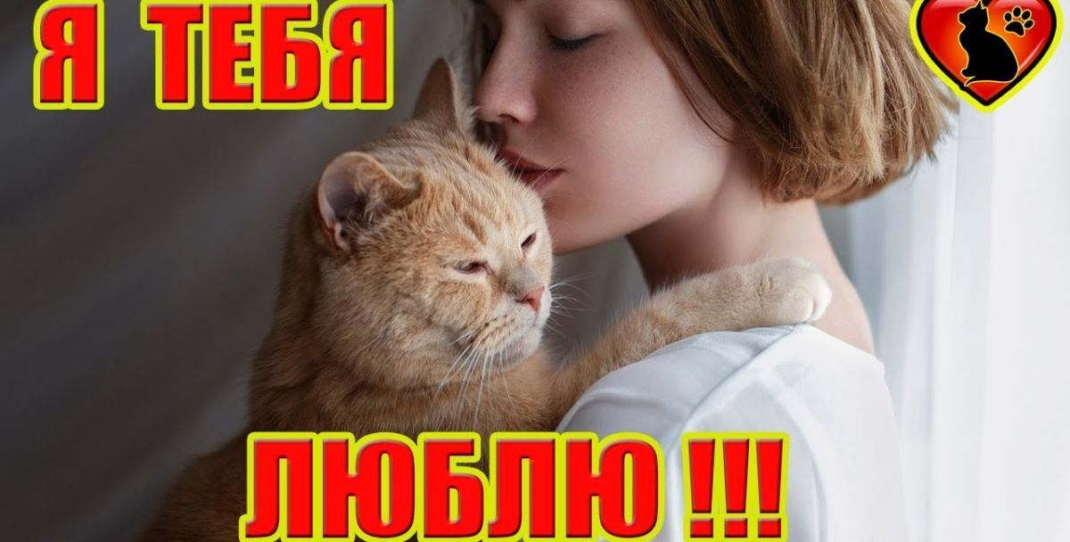 Иллюстрация к публикации