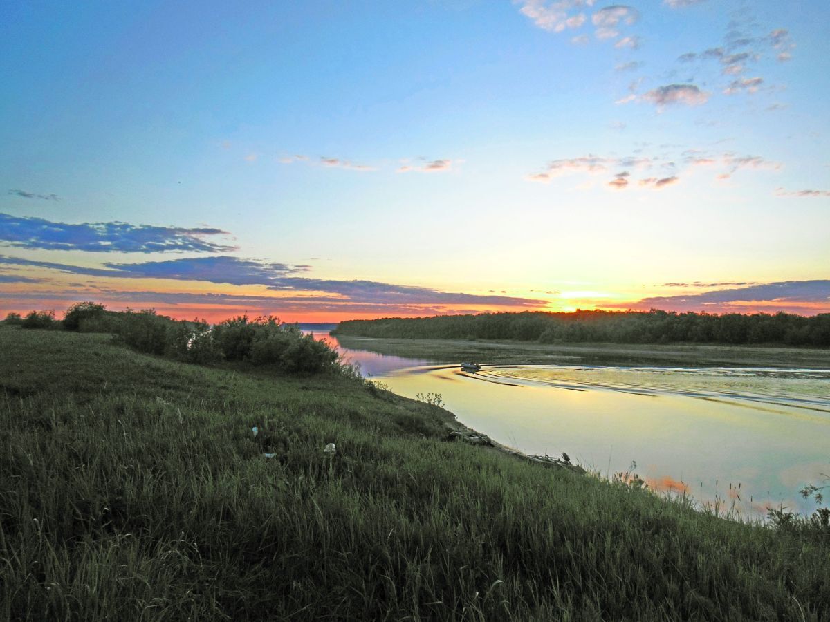 Иллюстрация к публикации