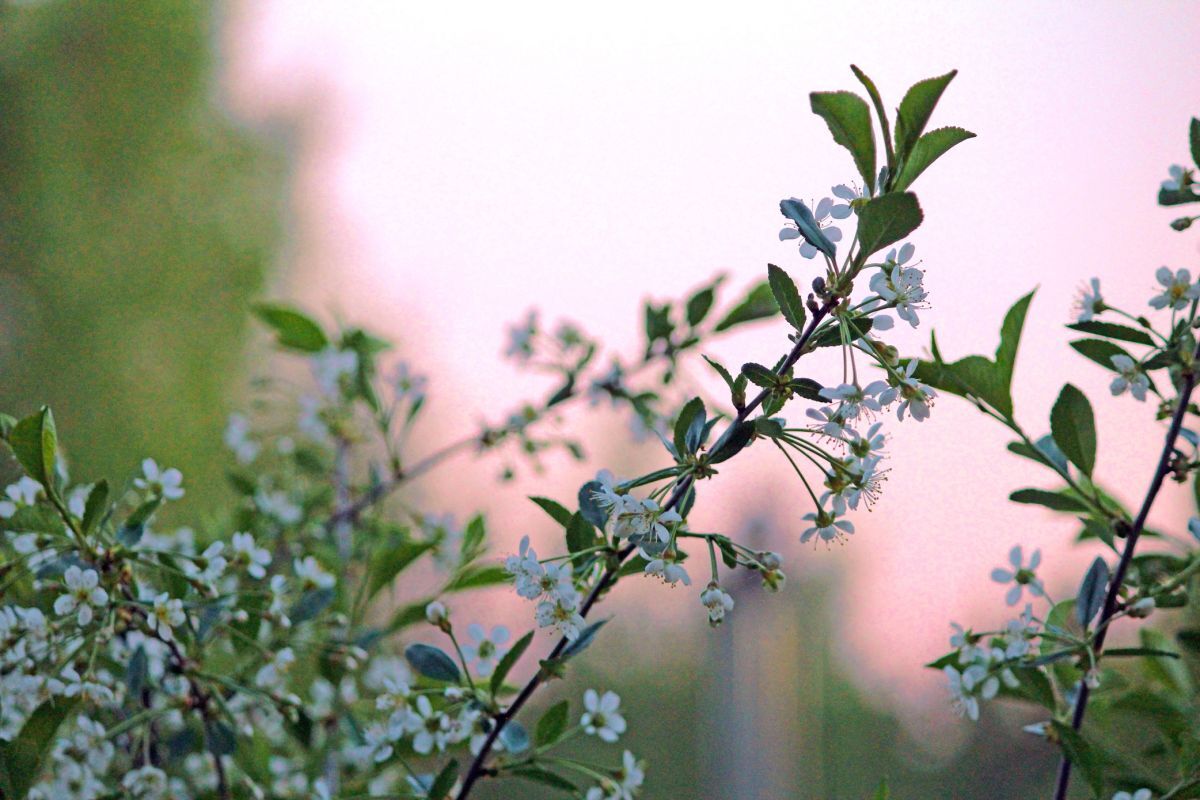 Иллюстрация к публикации