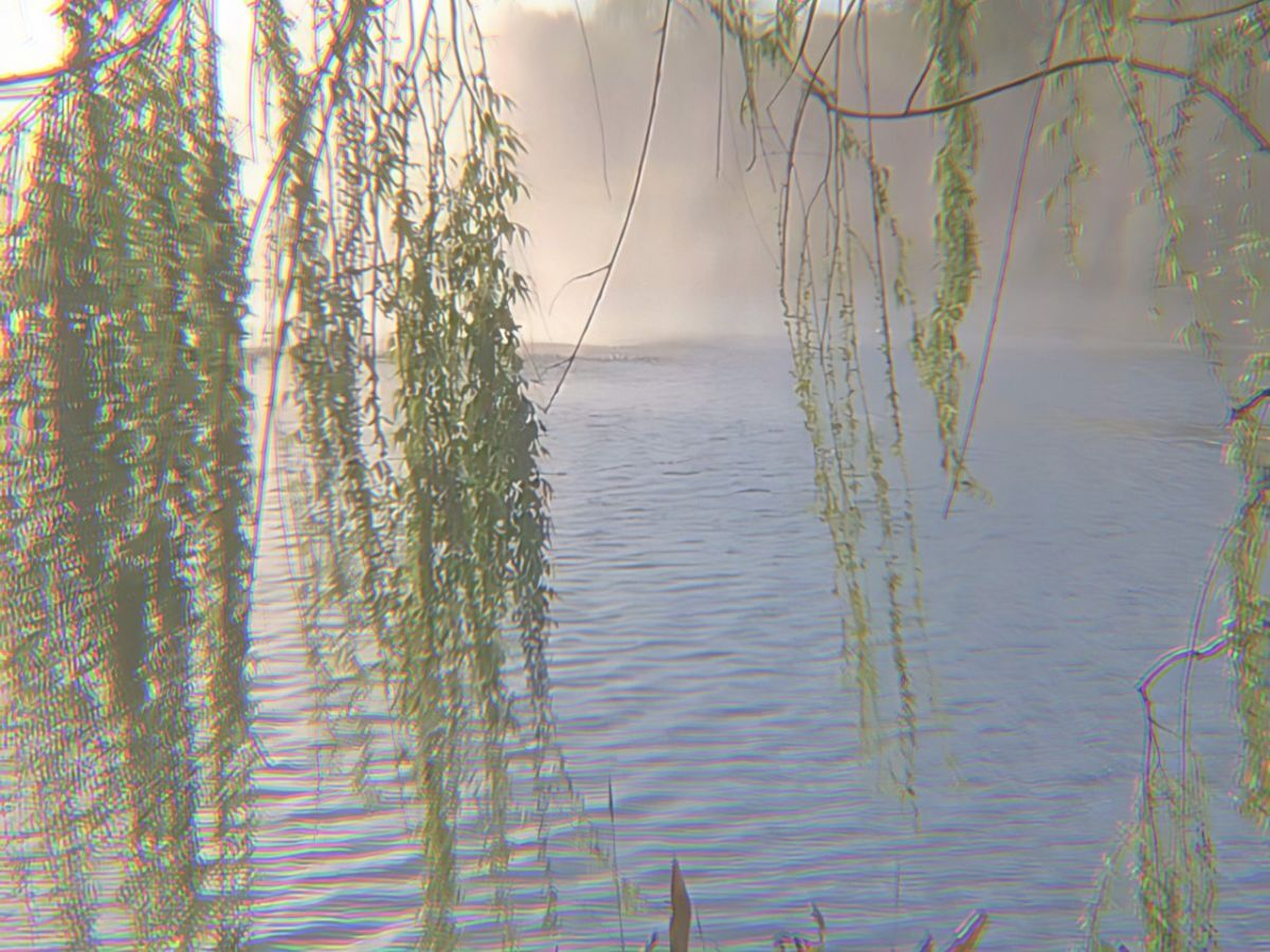 Иллюстрация к публикации