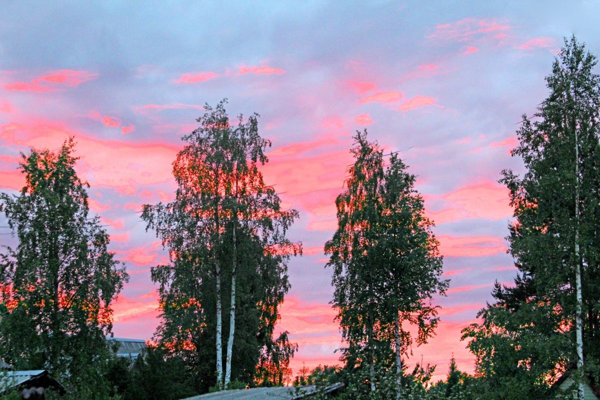 Иллюстрация к публикации