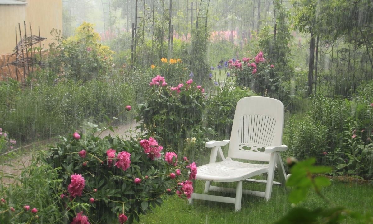 Иллюстрация к публикации