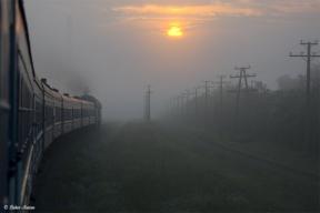 2021684-3504