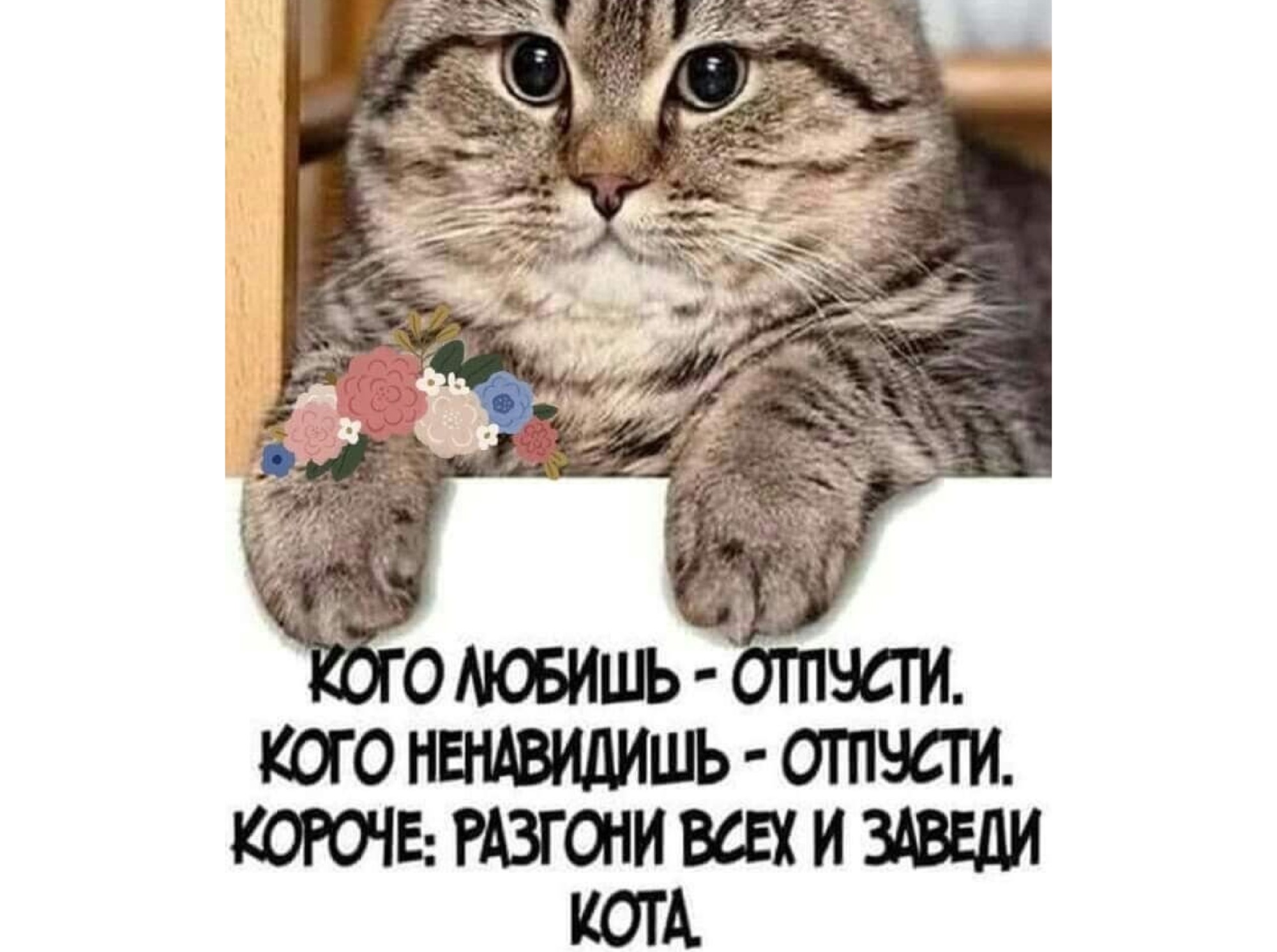 Иллюстрация к публикации