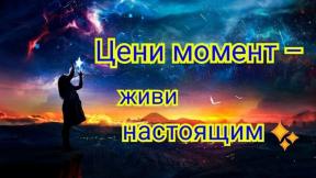 2137082-8985