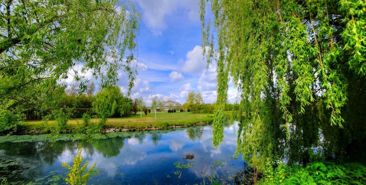 Иллюстрация к публикации