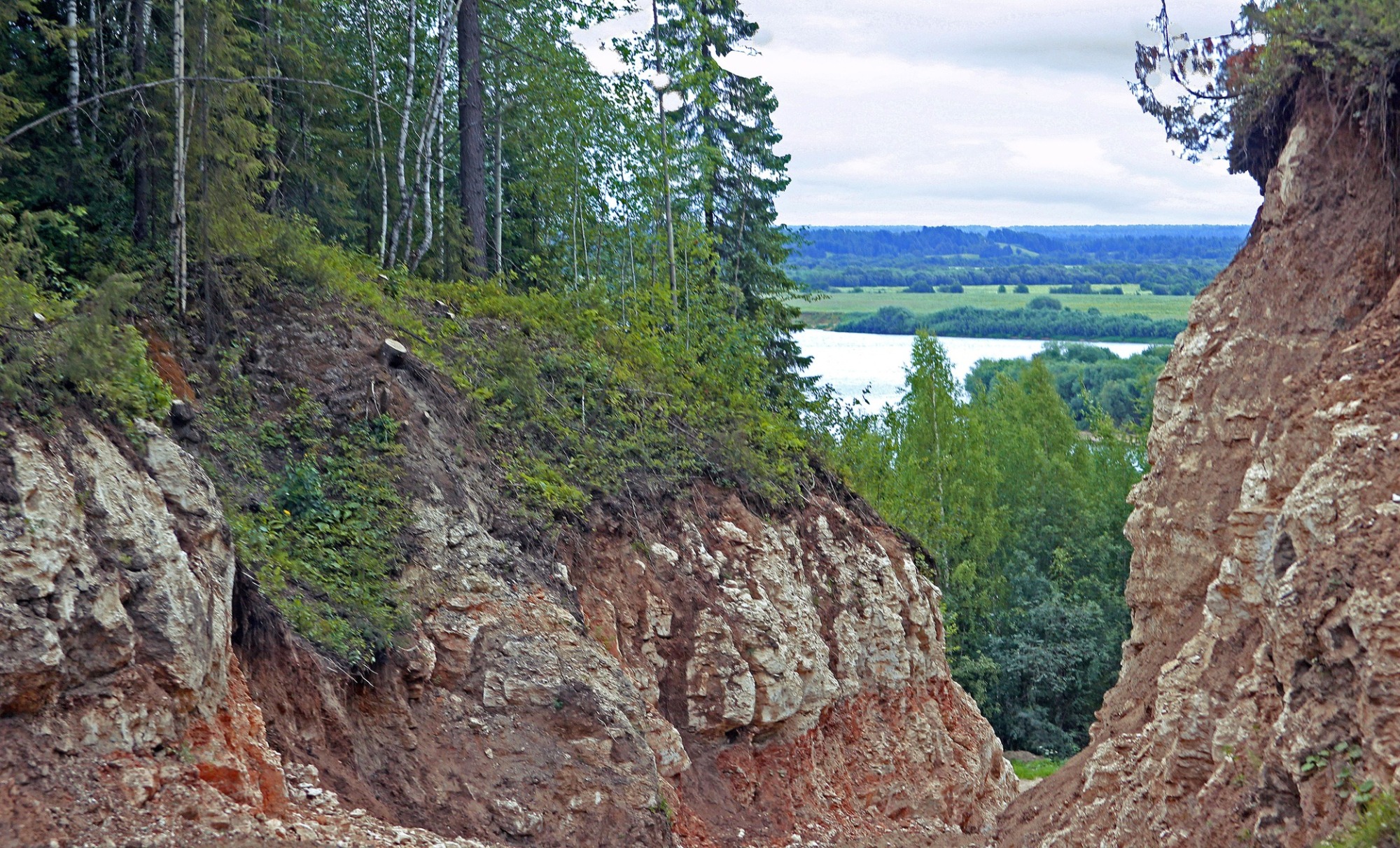 Иллюстрация к публикации