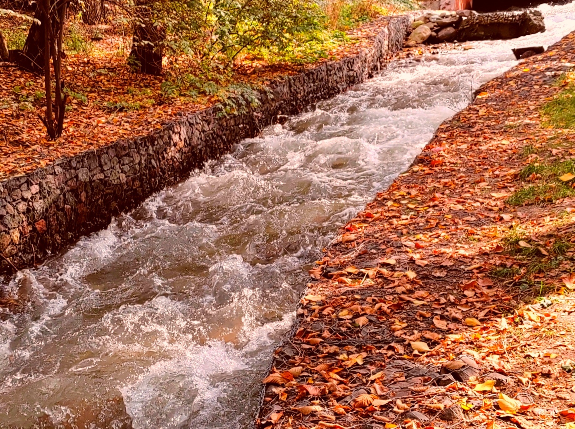 Иллюстрация к публикации
