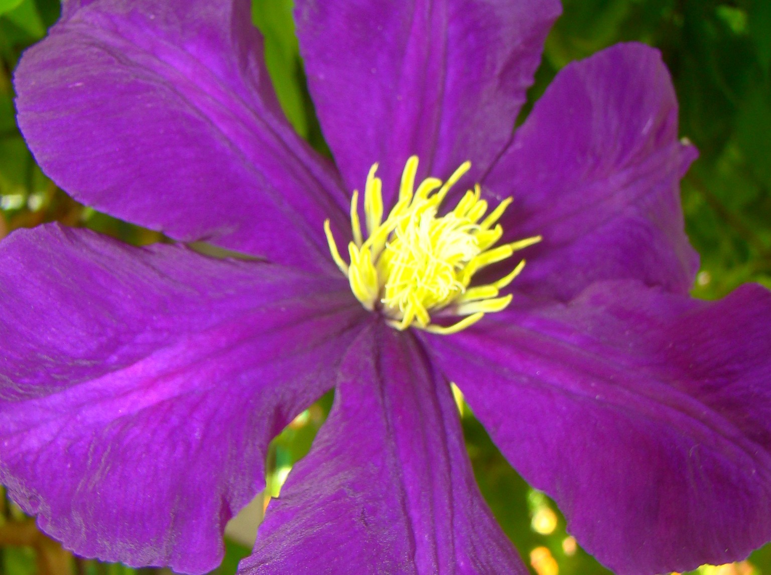 Иллюстрация к публикации