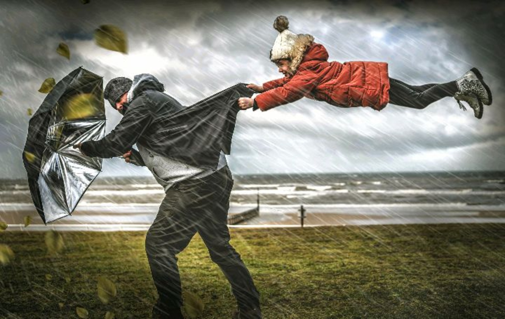 Иллюстрация к публикации