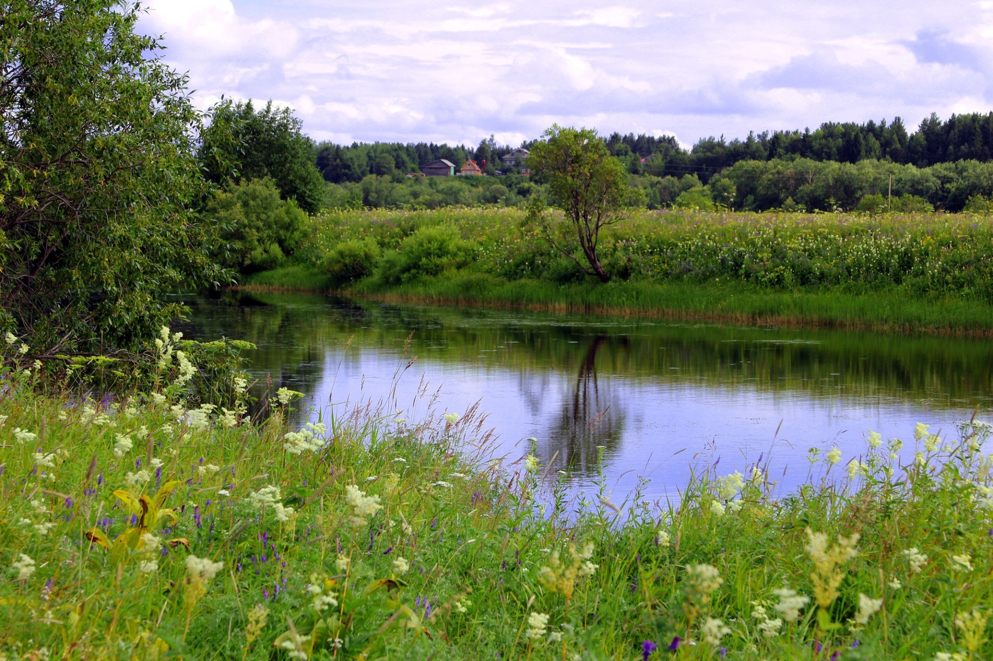 Иллюстрация к публикации