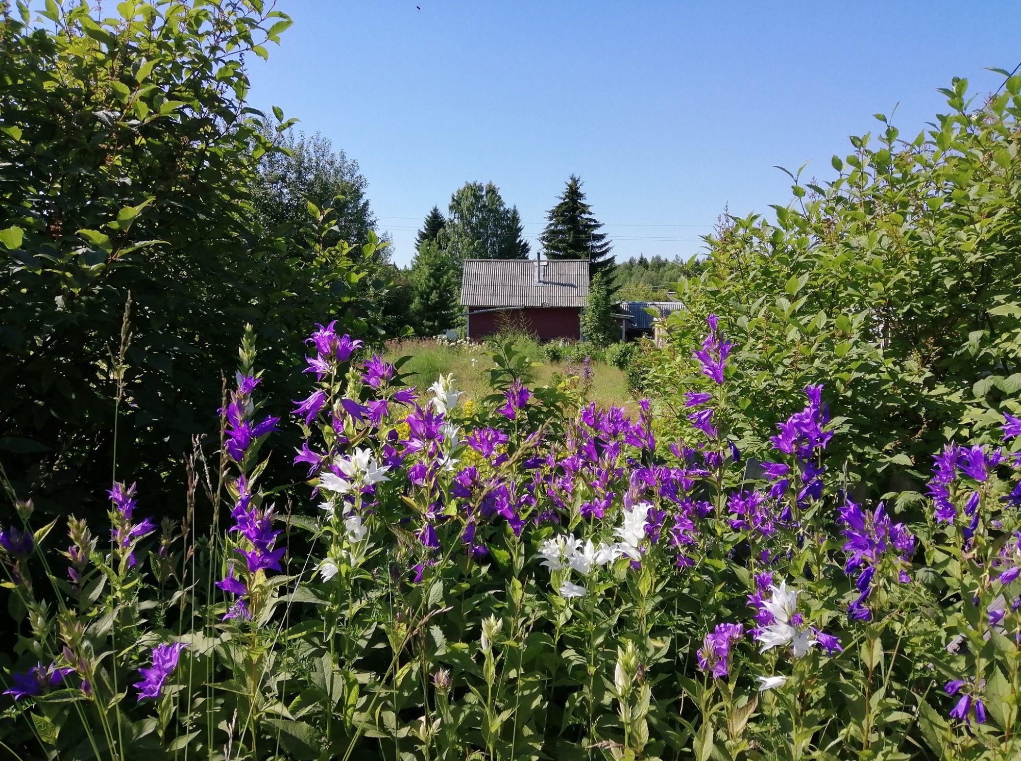 Иллюстрация к публикации