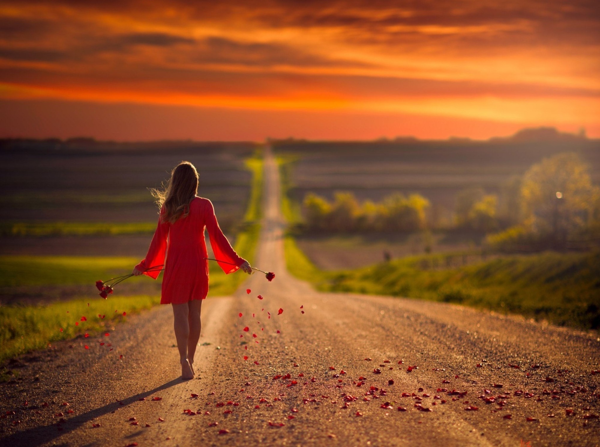 Иллюстрация к публикации