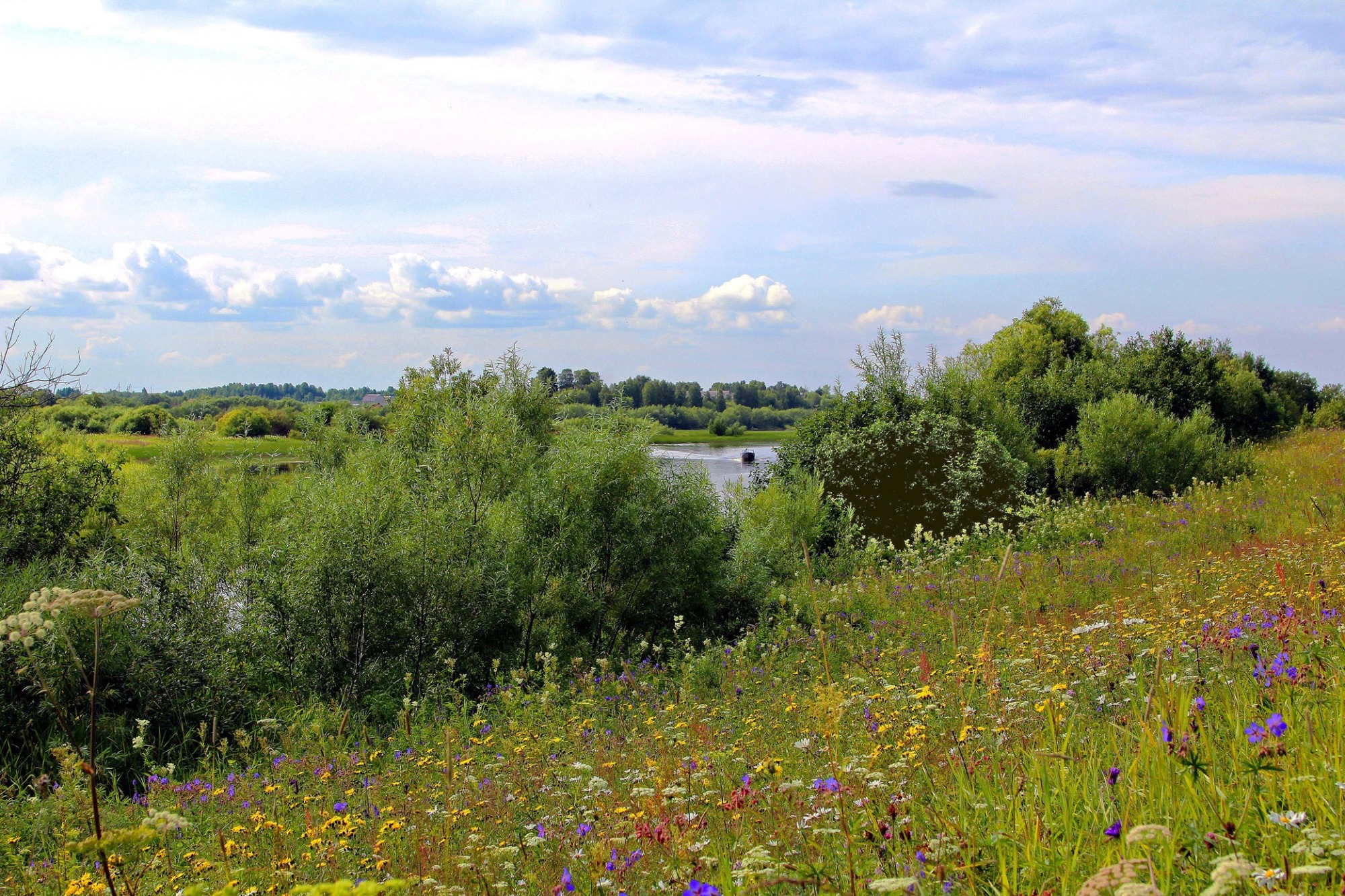 Иллюстрация к публикации