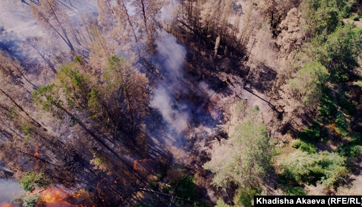 Иллюстрация к публикации