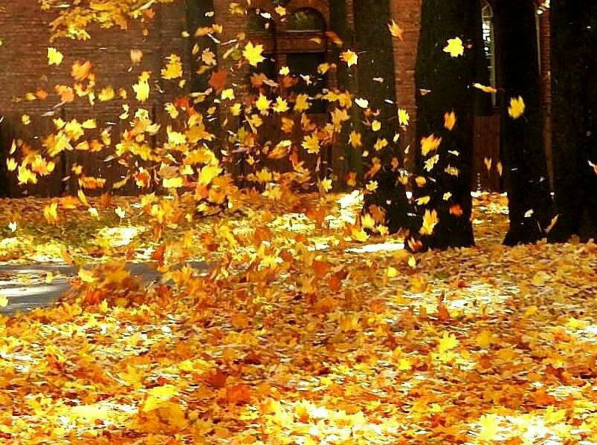 Иллюстрация к публикации