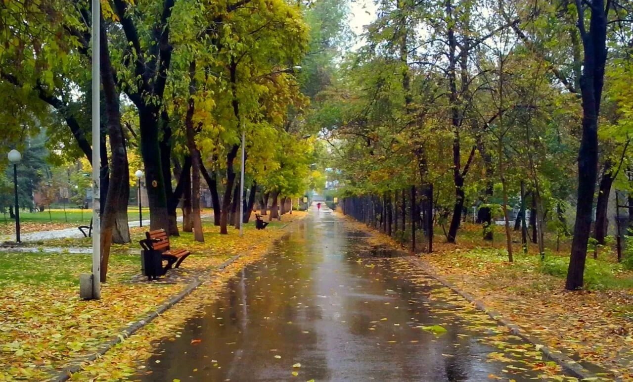 Иллюстрация к публикации