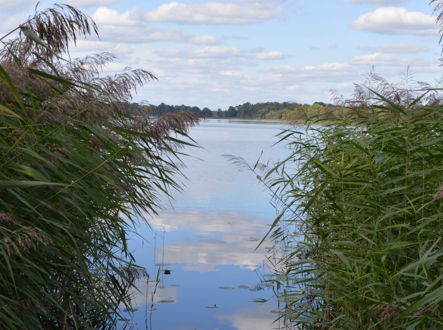 Иллюстрация к публикации