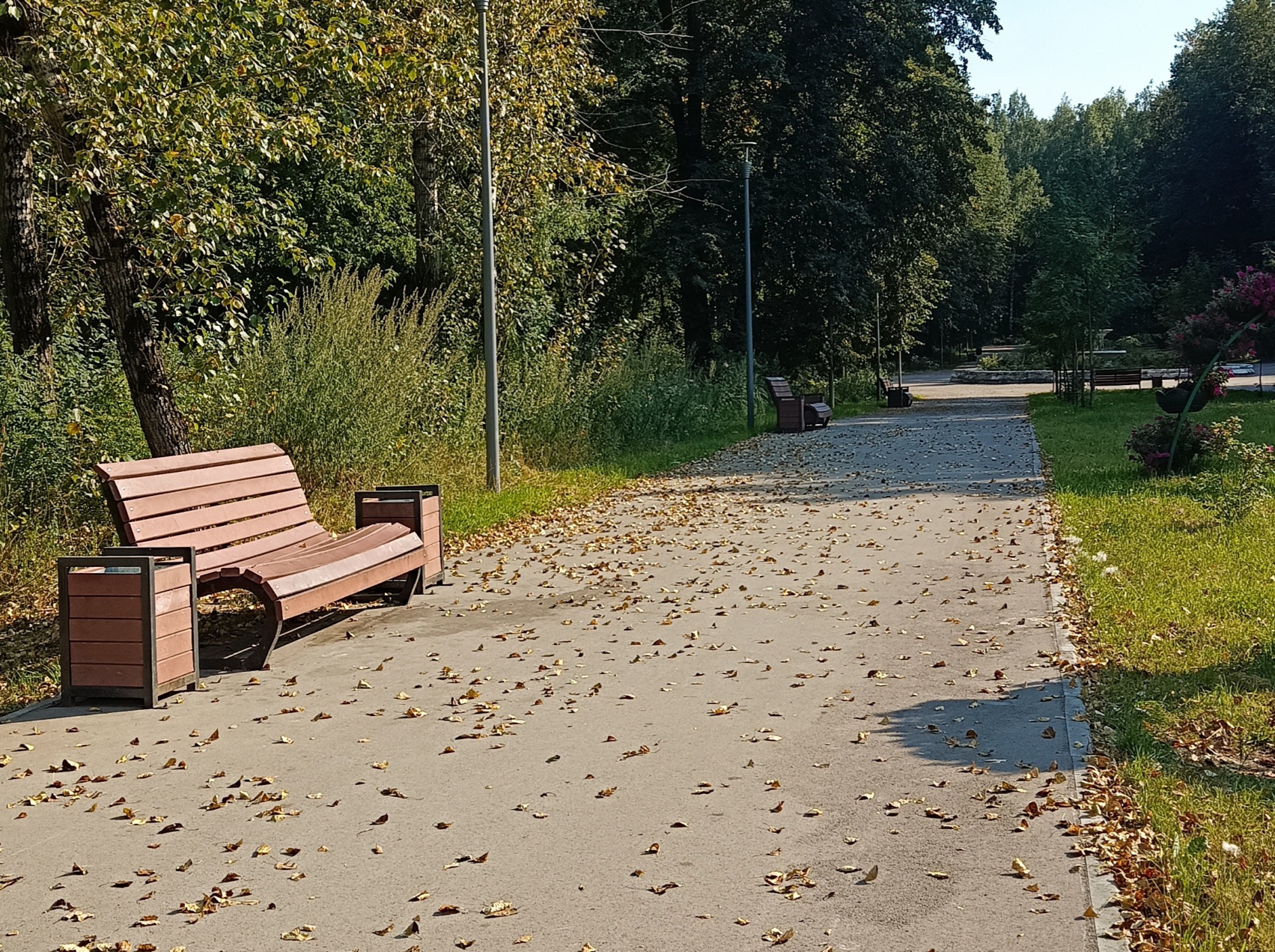 Иллюстрация к публикации