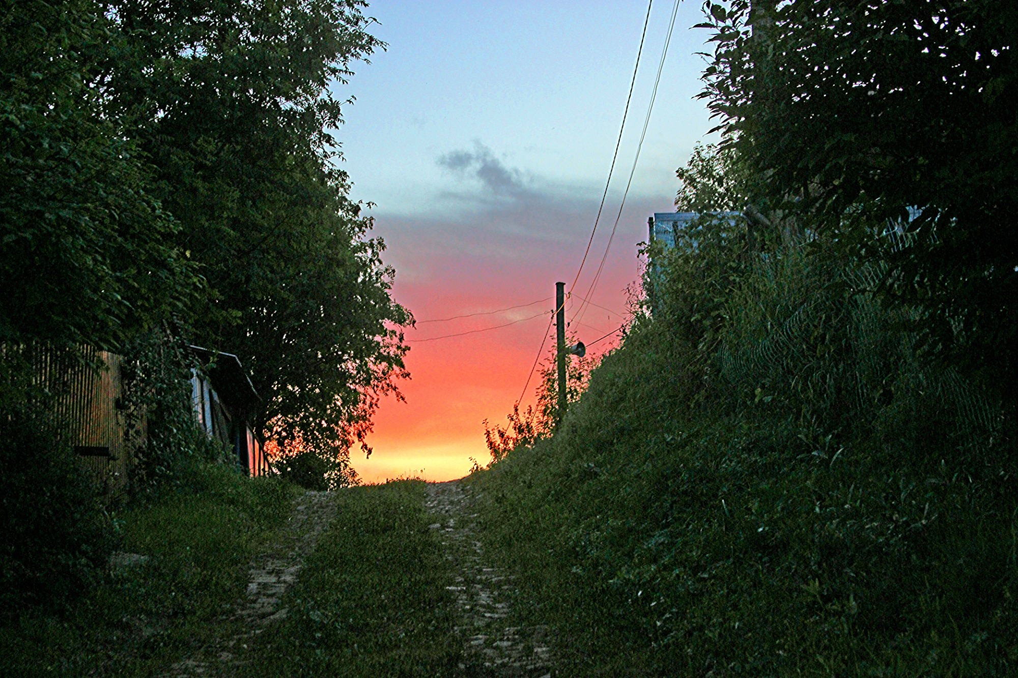 Иллюстрация к публикации