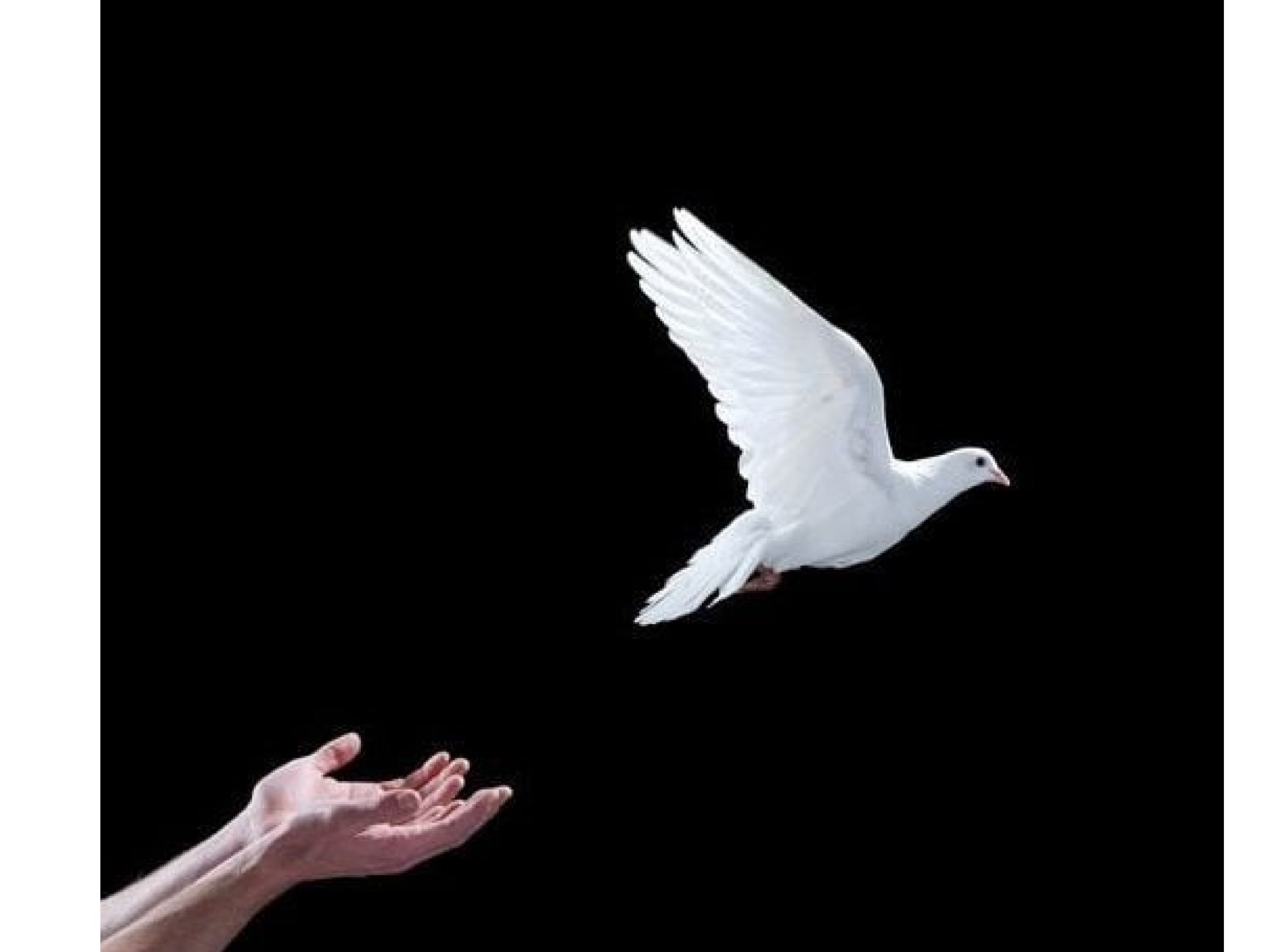 Иллюстрация к публикации