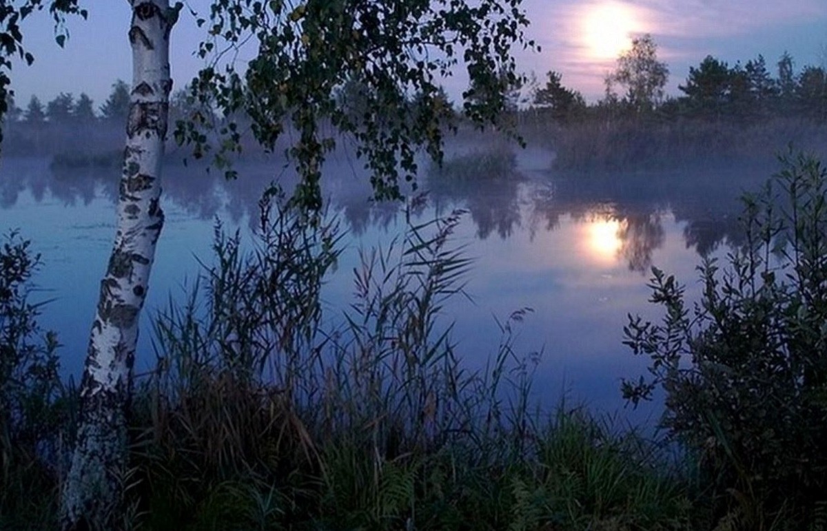 Иллюстрация к публикации