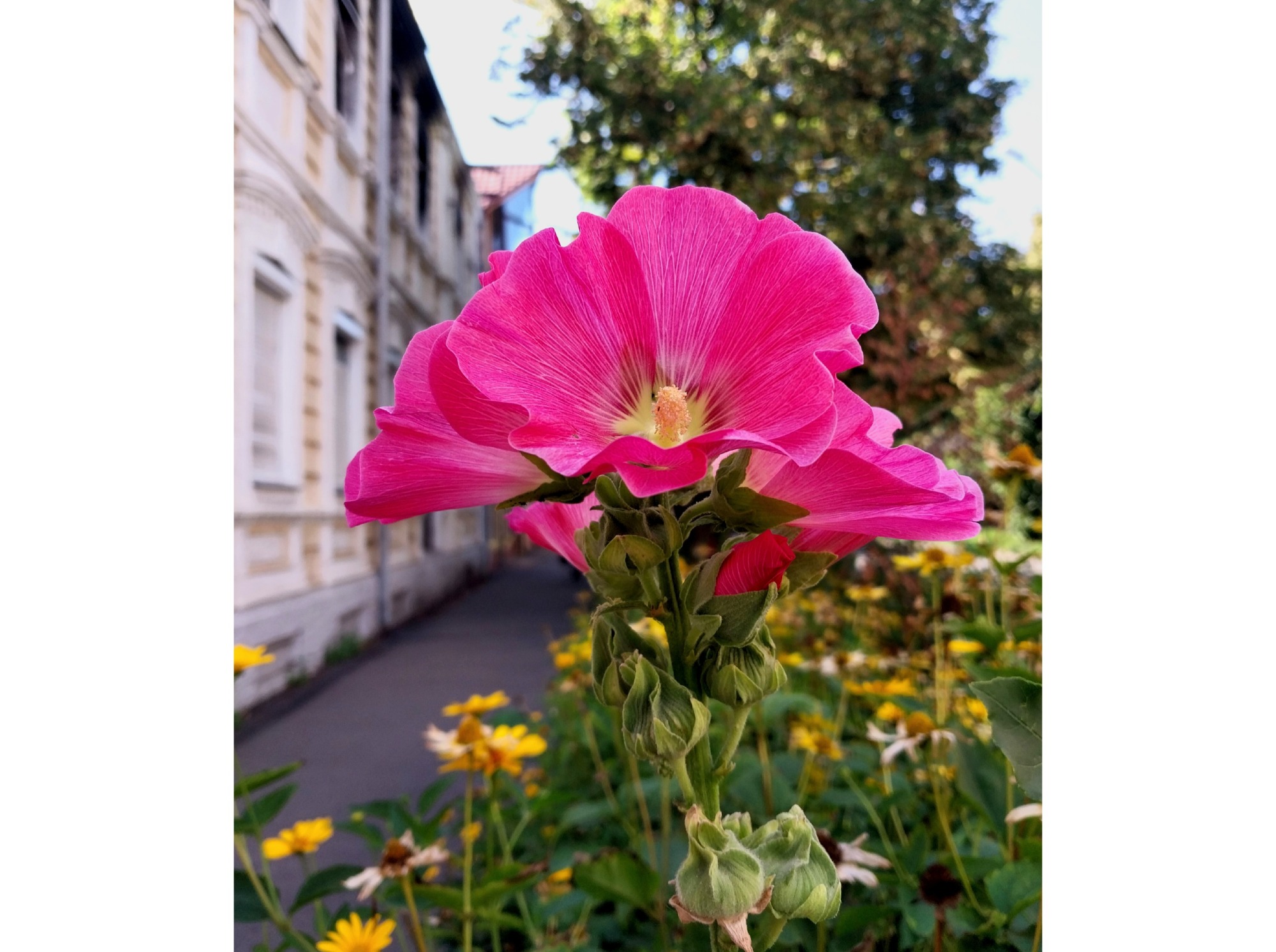 Иллюстрация к публикации