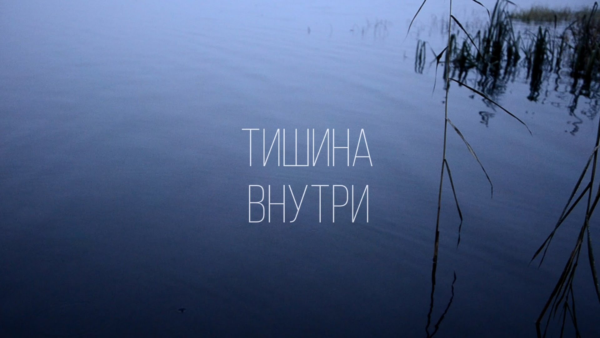 Иллюстрация к публикации