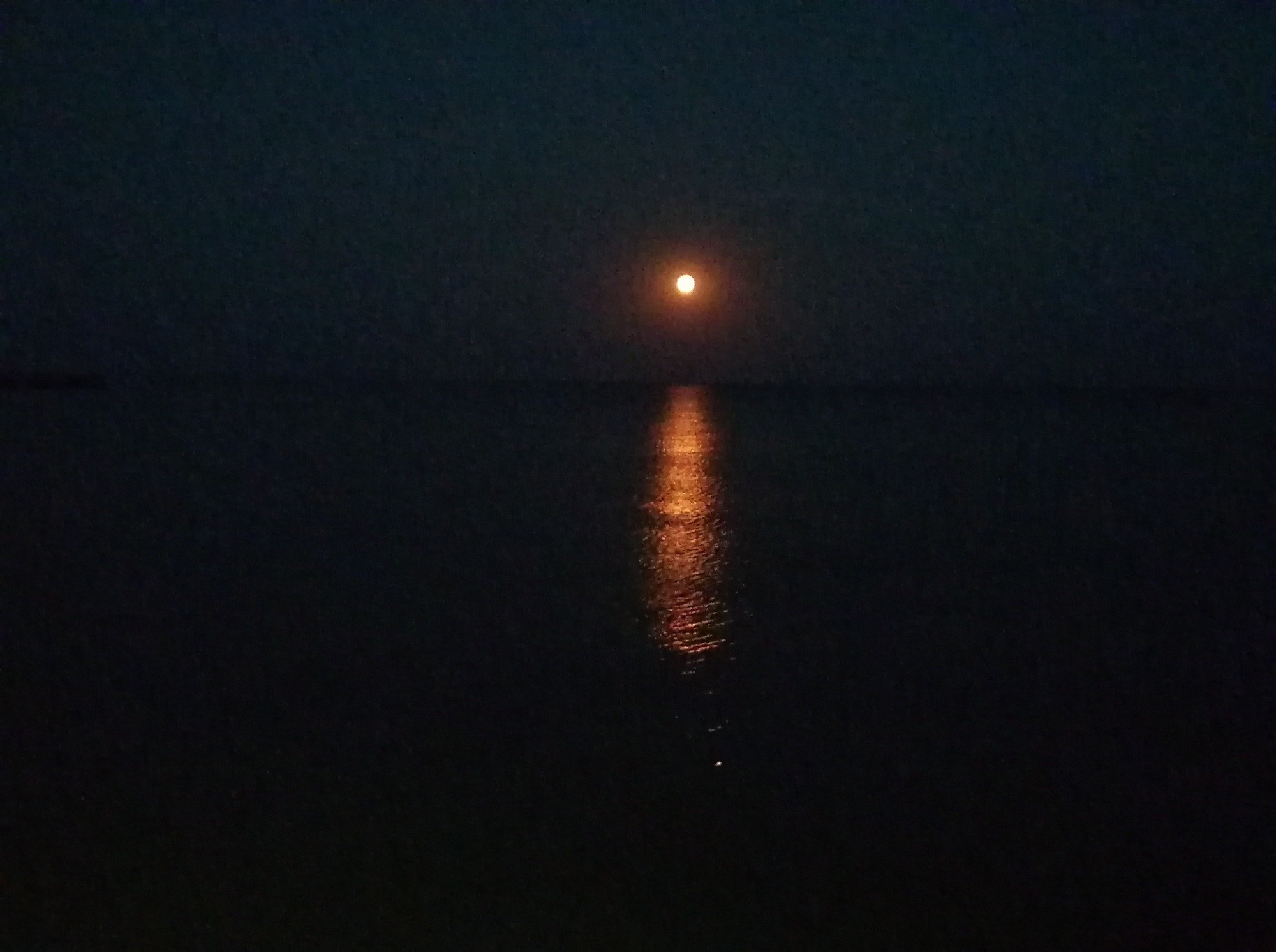 Иллюстрация к публикации