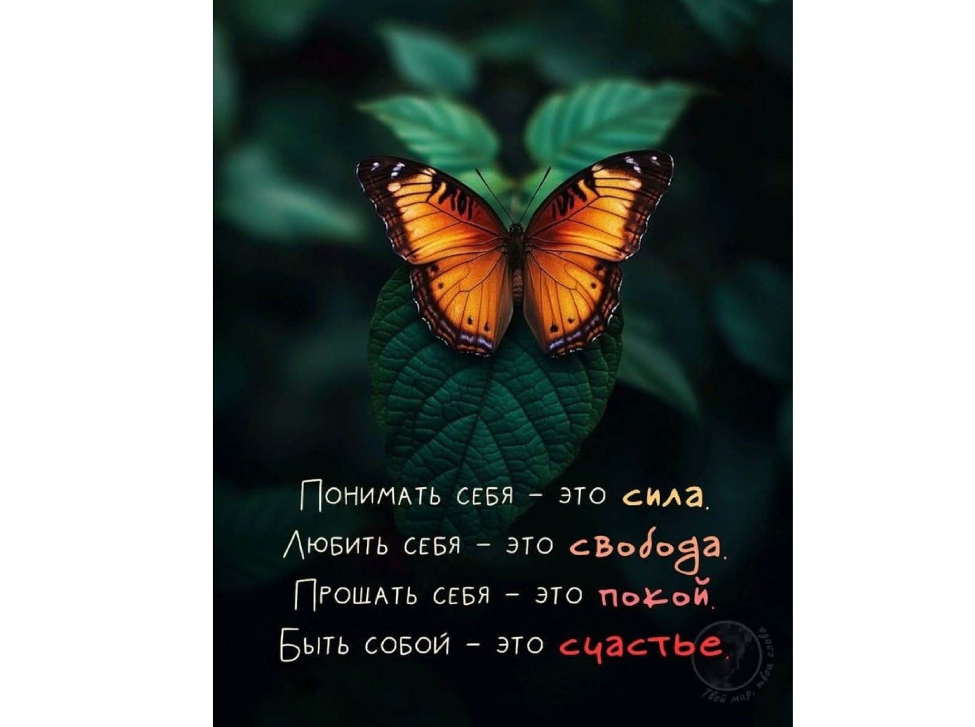Иллюстрация к публикации