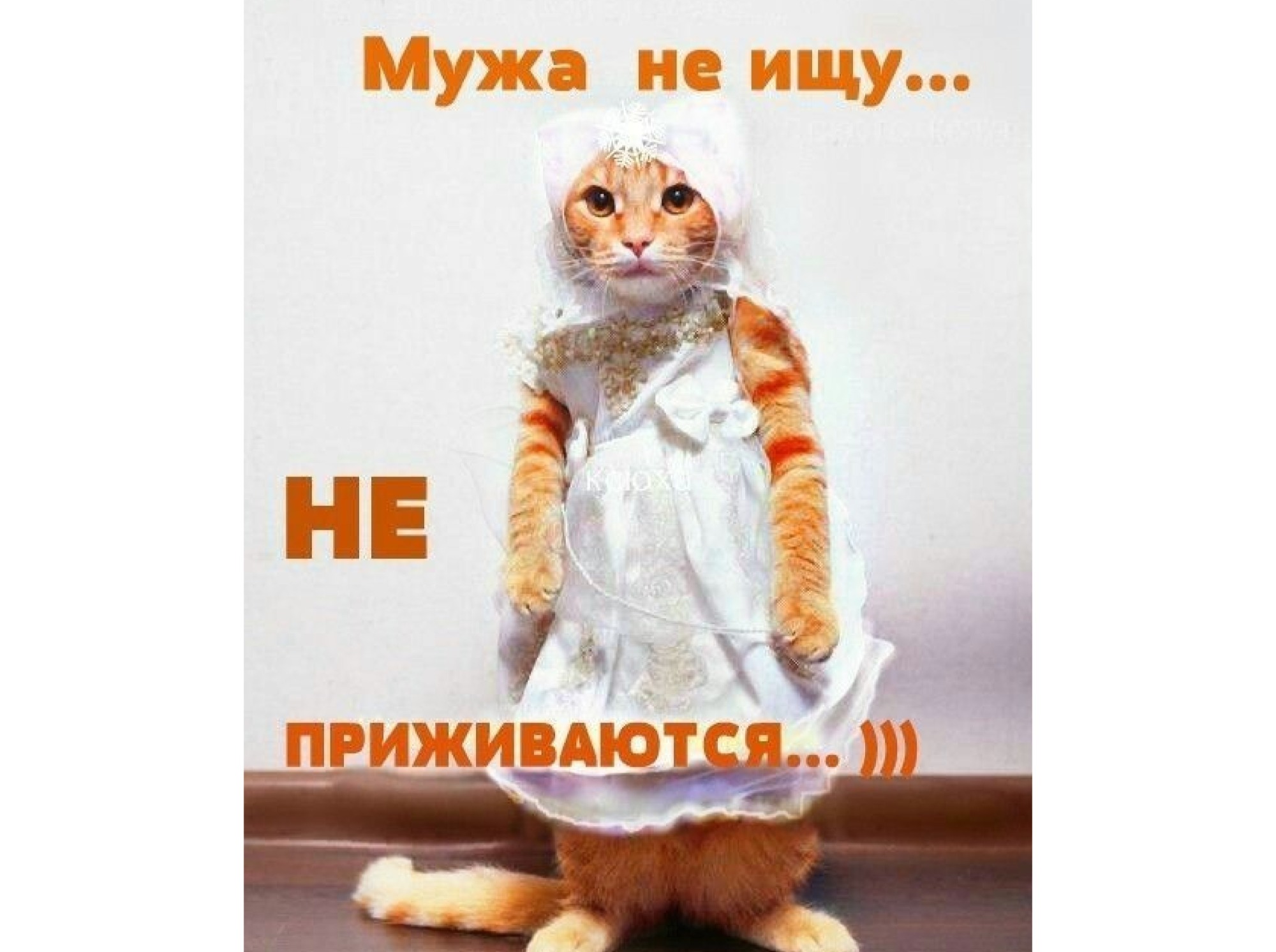 Иллюстрация к публикации