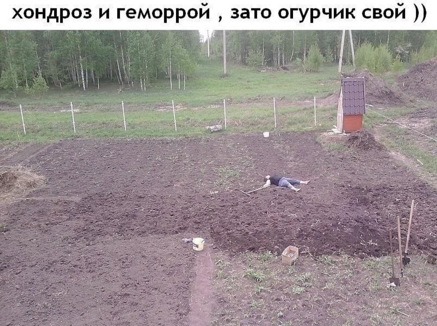 Иллюстрация к публикации